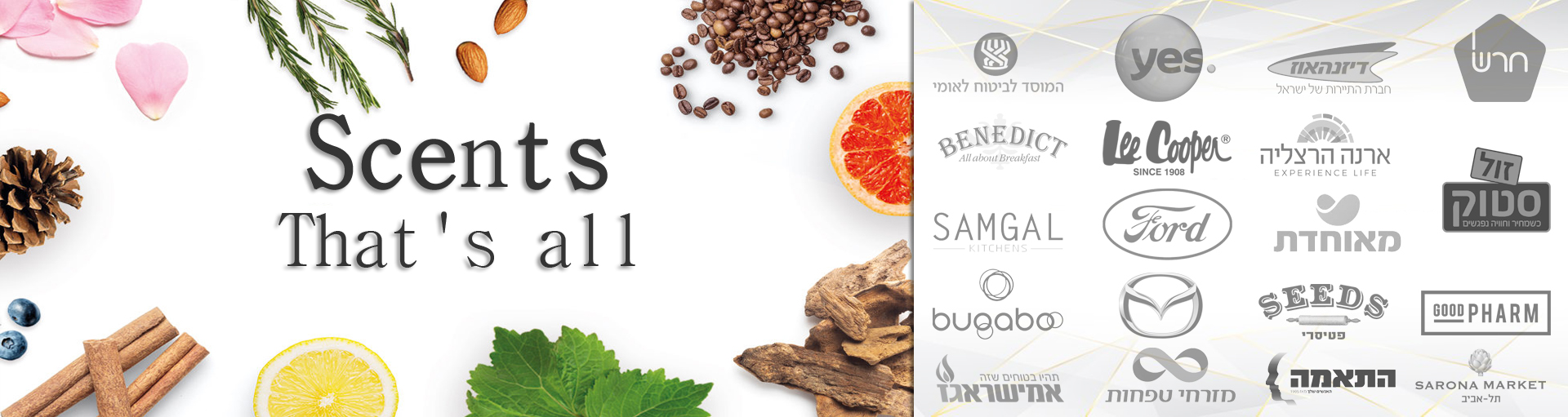 מפיצי ריח מקצועיים